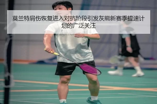 莫兰特肩伤恢复进入对抗阶段引发灰熊新赛季提速计划的广泛关注